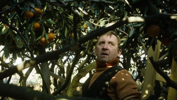 Harvest: Elmo Nuganen in <i>Tangerines</i>, a morality play with a sense of its own boundaries.