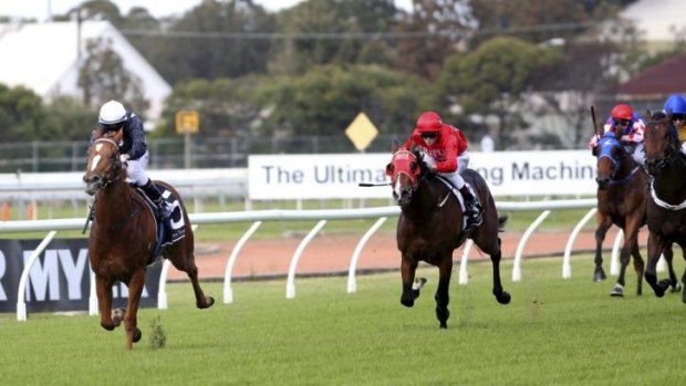 Bombs away: Bomber Brown wins the Juvenile Stayer Handicap at Rosehill on Saturday.