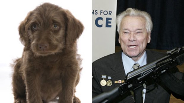 Grand designs that brought regret ... the labradoodle and the Kalashnikov AK47.