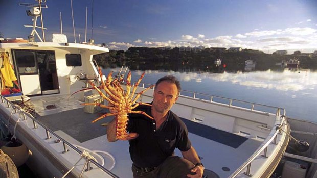 Something fishy ... crayfish bounty off Limestone Coast.