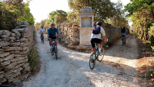 The wheel deal ... cycling through the Provence countryside.