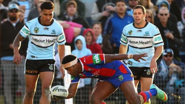 Sea-saw: Akuila Uate touches down for the Knights