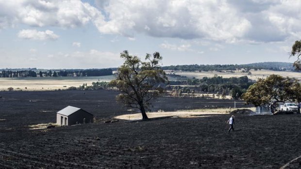 Burnt land on Hazeldell Road, pictured on Tuesday.
