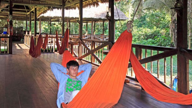 Welcome to the jungle: hammocks on the verandah at the Tambopata Research Centre in the Tambopata National Reserve.