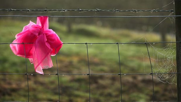 Pink ribbons ... they have been tied to gate posts, trees and railings all over Machynlleth since she went missing.