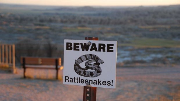 Rattlesnakes flourish in this harsh environment.