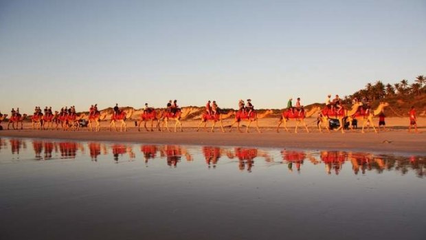Live large: a pre-sunset camel ride along the beach.