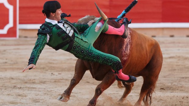 Bullfighter 'banderillero' David Peinado 'Chetu' is tossed and gored in the bullring