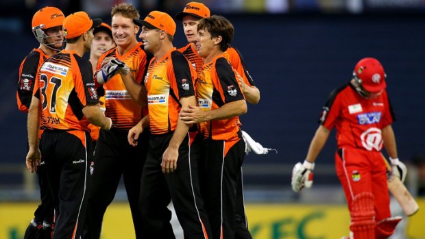 The Scorchers celebrate the dismissal of Nathan Rimmington of the Renegades.