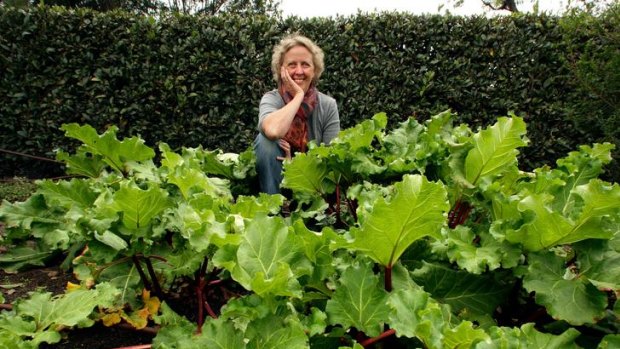 Author Penny Woodward says rhubarb and bay leaves, pictured here in the kitchen garden behind the Observatory cafe in Melbourne's Royal Botanic Gardens, are great insect repellents.