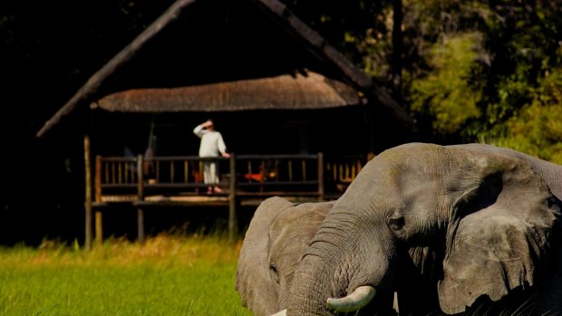 Wake up to see the elephants at Khwai River Lodge.