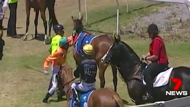 Footage shows a jockey in South Australia about to punch his horse.