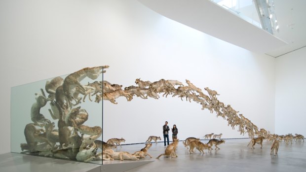 "Head On" is a work by Chinese-born New York artist Cai Guo-Qiang, which will feature in his first solo exhibition at GOMA from November 2013.