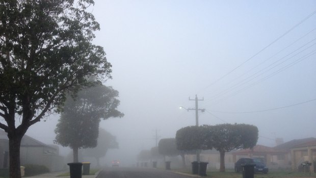 A thick blanket of fog slowed roads - and flights - in Perth on Friday morning.