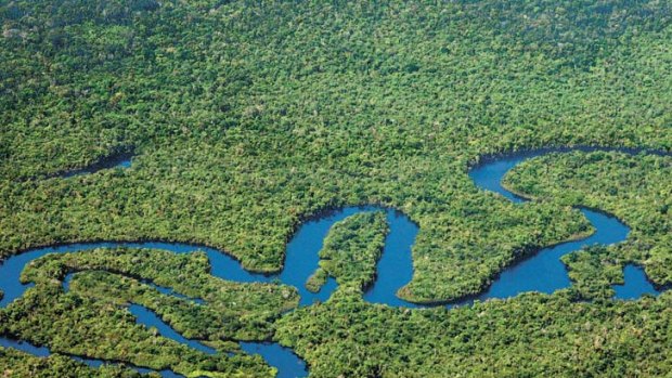 An aerial view ... the Amazon river.