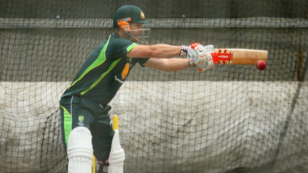 Dave Warner stretches to hit a ball in the MCG nets on Wednesday.
