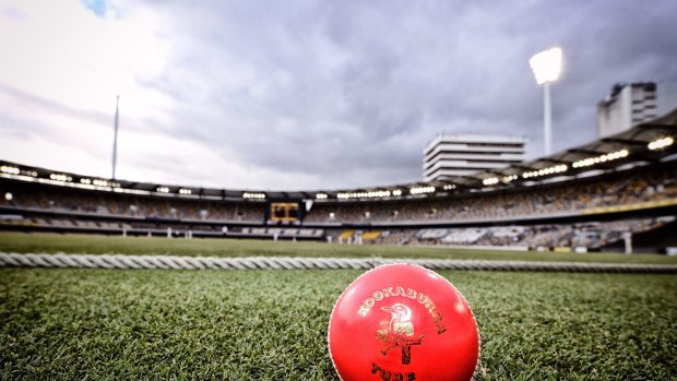 Seeing red: The pink ball has come under fire from players in the lead-up to the first day-night Test. 