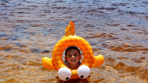 Freya Scott, 5, at Brown Lake, Stradbroke Island.