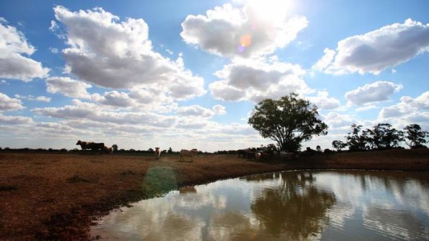 Half a dozen South East Queensland dams are in need of work to keep them safe.