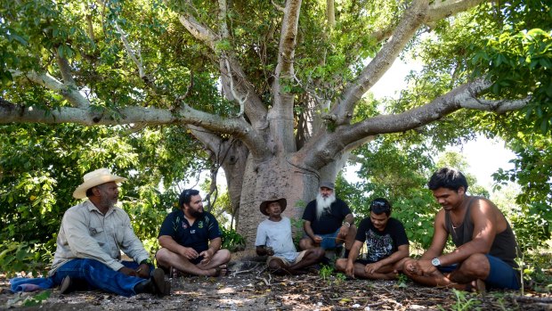 Senior Yawuru men Patrick Dodson, Neil McKenzie and Lalga Djiagween with young Yawuru men discussing ceremonial sites at a meeting tree  near Broome.