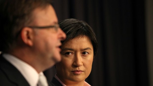Anthony Albanese (left) is the best person to lead Labor, says Penny Wong.