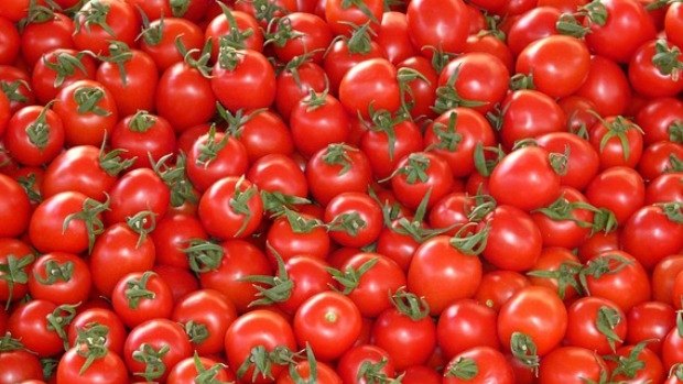 The cpmpany has been able to shrug off falling prices for tomatoes amid a bumper crop.