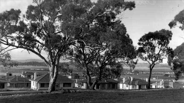 New housing in Canberra, 1926.