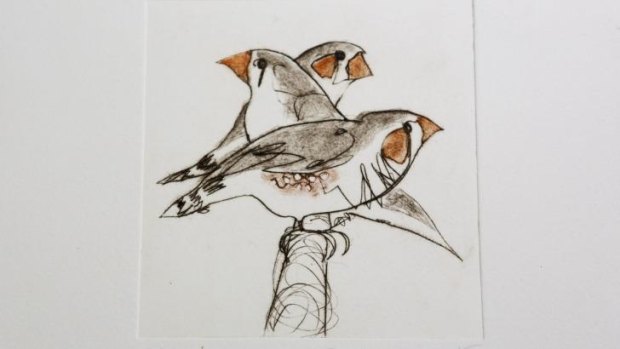 Taking illustration to the next level: <i>Three Finches</i> dry point etching by Bridget Farmer.