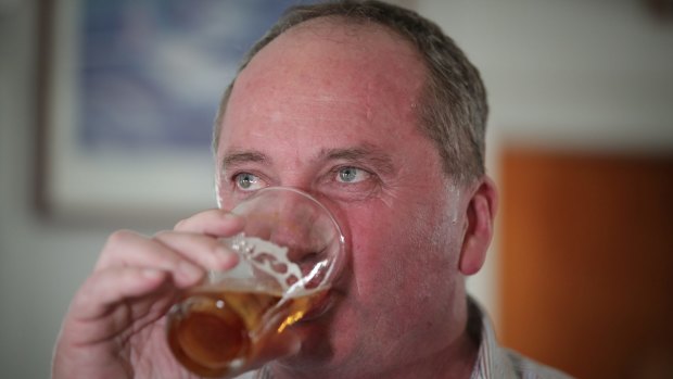 Candidate for New England, Barnaby Joyce, has a beer while meeting with Nationals colleagues at the Aero Club at the Tamworth Airport, during the New England by-election.