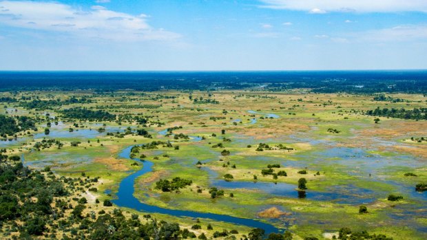 The Okavango Delta, Botswana.