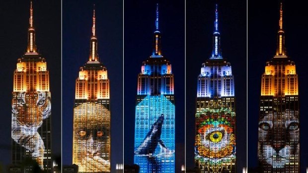 The Empire State Building in New York is lit up with images of endangered species.