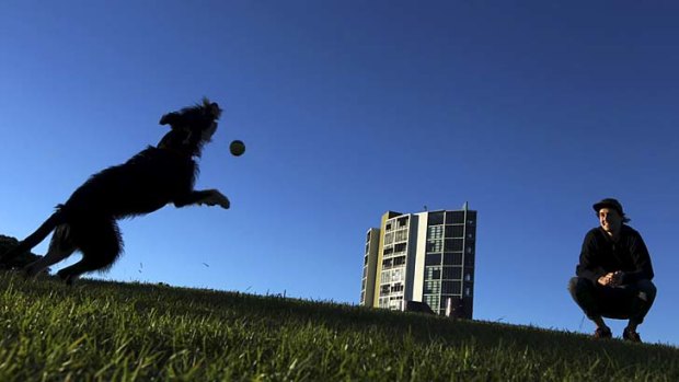 Record run: Rhys Gencur takes his dog Drex out to enjoy one of the last warm autumn days at Sydney Park on Monday.