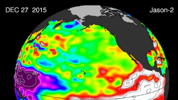 The El  Nino near its height at the end of 2015, with unusually warm surface temperatures in the central and eastern equatorial Pacific.