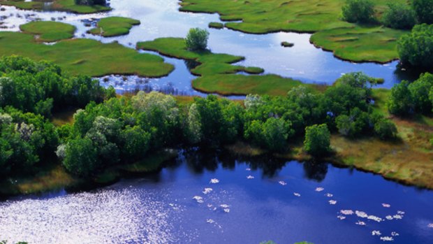 Island home ... Bathurst Island's wetlands.