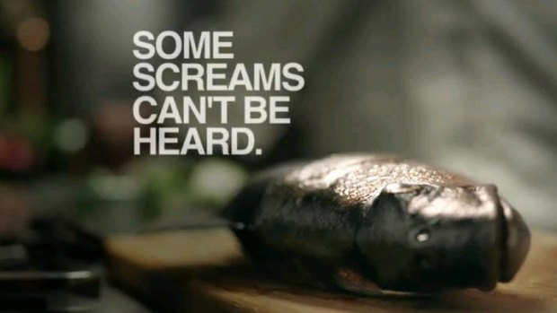 A still from PETA's 'Silent Scream' campaign video.