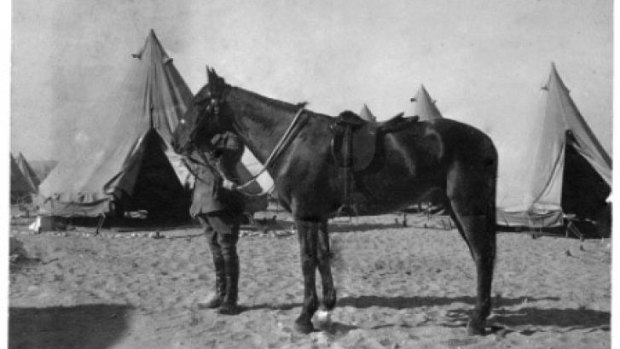 War horse: Major General Sir William Throsby Bridges holding the bridle of his favourite charger, Sandy. 