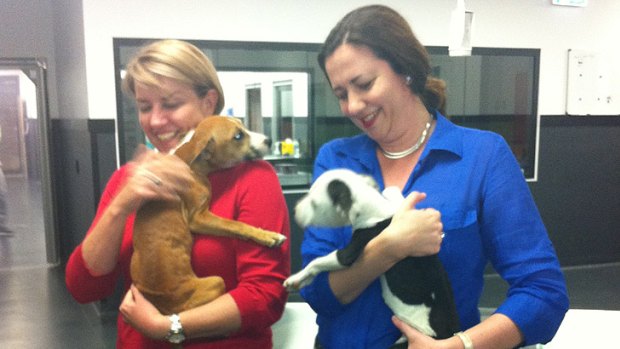 Anna Bligh and Annastacia Palaszczuk on the campaign trail.