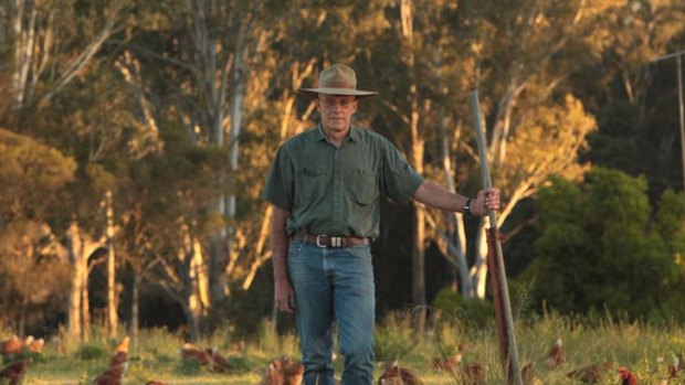 Outrage ... Ian Littleton on his farm in north-west Sydney. He says buyers would not be happy that a hectare could hold 20,000 hens.