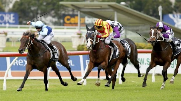 Marshall law: Taylor Marshall boots home Zephyron to win the Lord Mayors Cup at Rosehill.