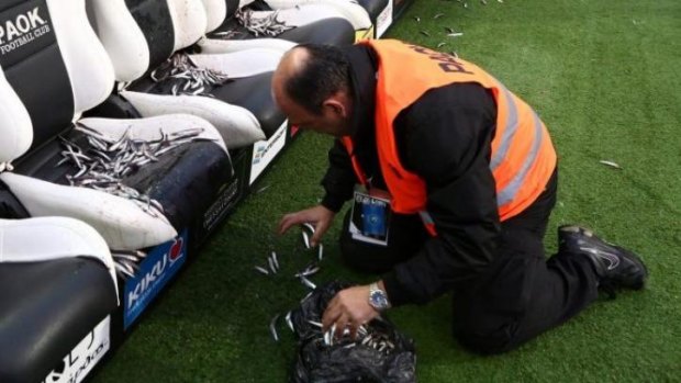 Fishy business .. an employee of PAOK cleans Olympiakos' bench from fish before the semi-final of the Greek Cup in the northern port city of Thessaloniki.