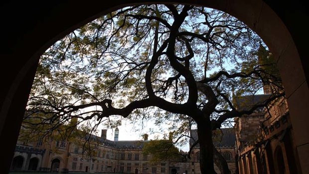 Branching out &#8230; the Jacaranda in the Quadrangle at Sydney University, always a favourite of students who look to its blooms to signal the start of summer.