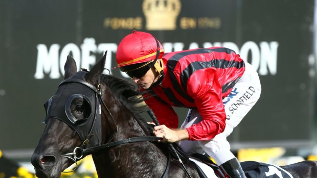 Gloaming Stakes chance: Glyn Schofield rides Prized Icon to win race 5, The Moet &amp; Chandon Champagne Stakes, at Randwick