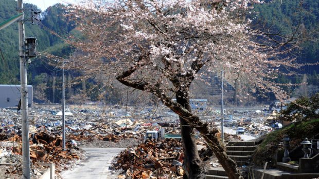 Tsunami-damaged parts of Japan such as Otsuchi, seen here in April, are recovering quickly, and the tourist board is encouraging overseas travellers to visit.