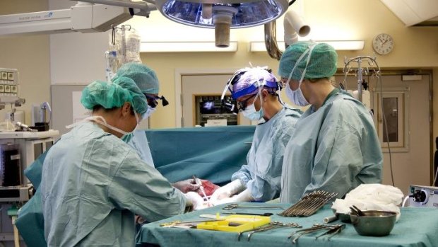 Breakthrough: Surgeons at the University of Goteborg in Sweden practise transplanting wombs at the Sahlgrenska Hospital in Goteborg, Sweden.
