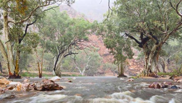 The Ormiston Gorge, 130 kilometres west of Alice Springs, is replenished from recent rains.<i>Picture: Steven Pearce</i>