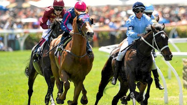 Favourite mistake: jockey Nash Rawiller riding Opinion struggles to hold on during the Carnival Handicap at Flemington.