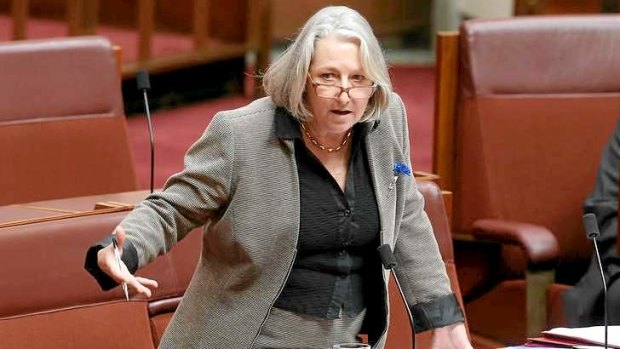 Liberal Senator Sue Boyce.