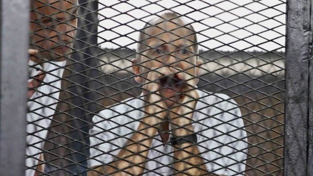 Seven-year sentence: Australian journalist Peter Greste.