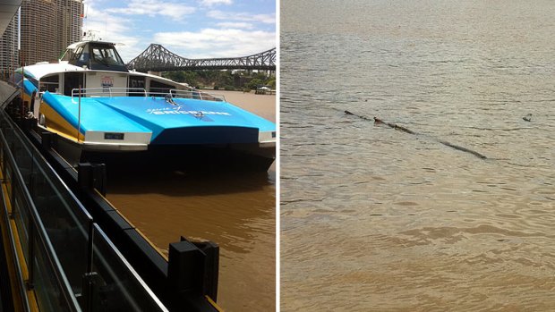 Brisbane's floods have sidelined the CityCat fleet.