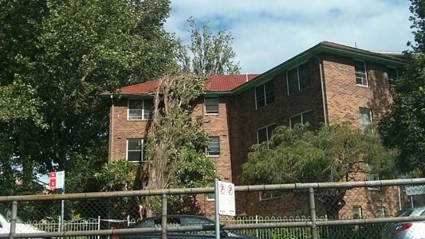 Strong winds in Sydney on Thursday afternoon blew this tree into an apartment block.